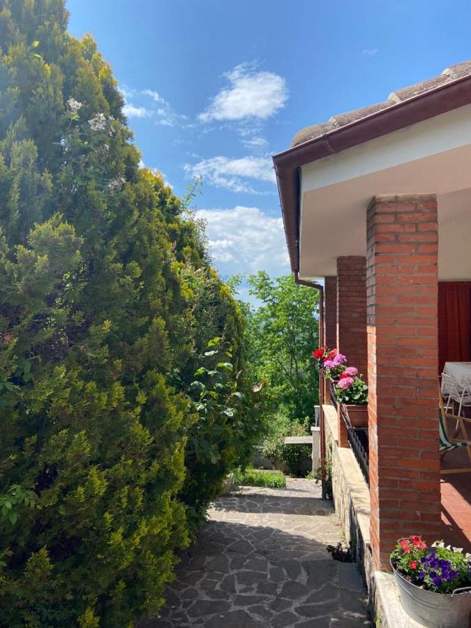 La Stella Danzante B&B Camerata Vecchia Bagian luar foto